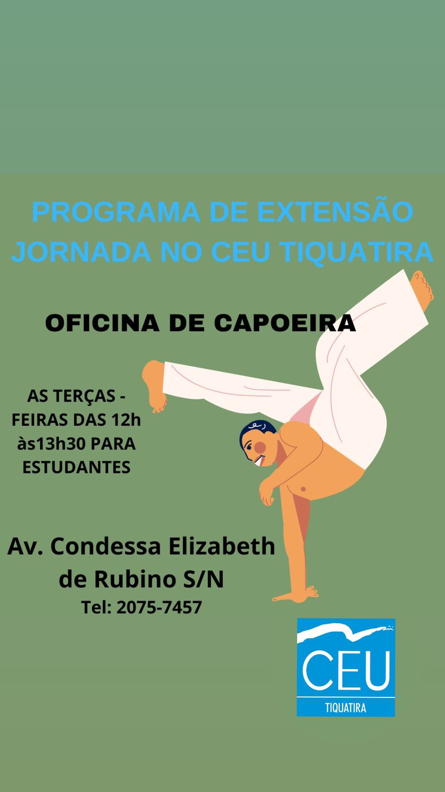 Capoeira Final