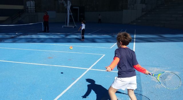 Mini Tenis