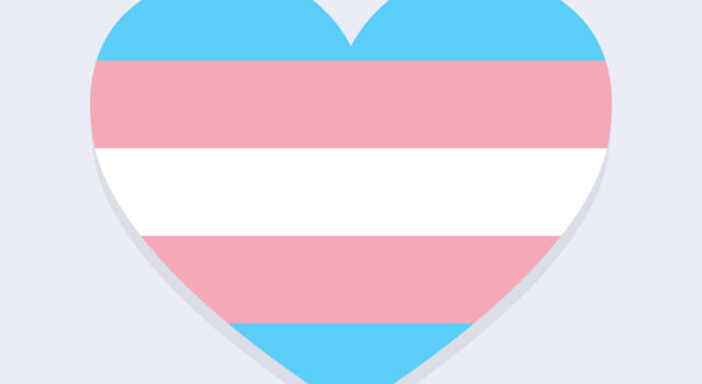 252 Heart Trans Flag