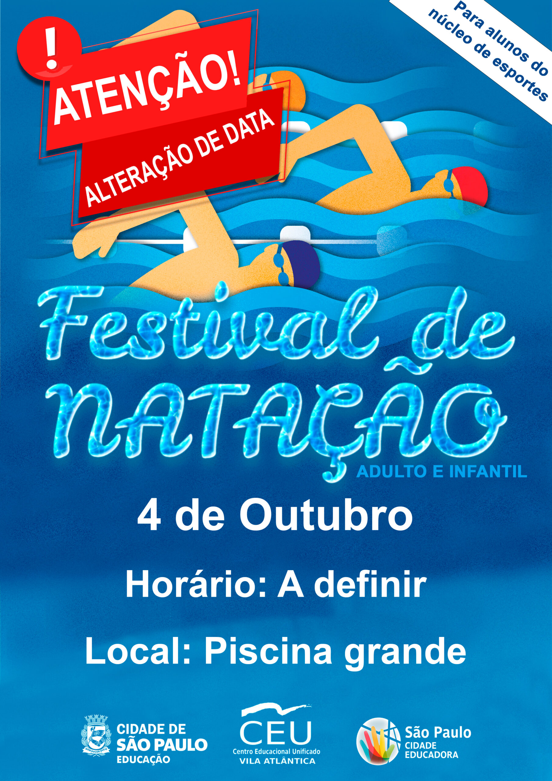Festival Natação