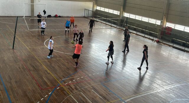 Volei (1)