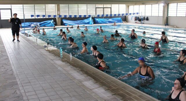 Whatsapp Image 2025 10 29 At 15.04.42