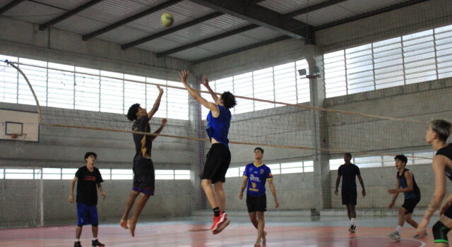 Volei