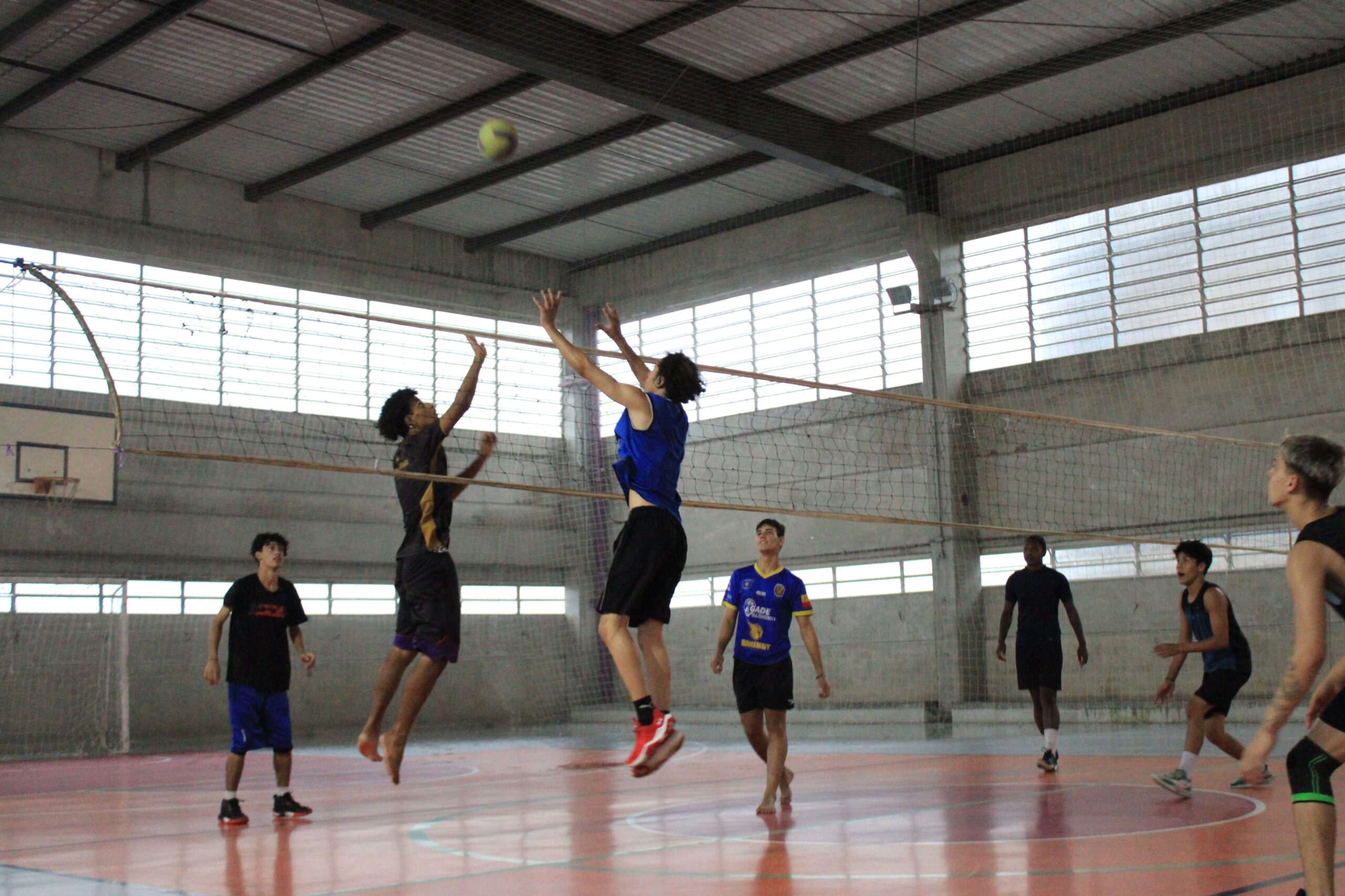Volei