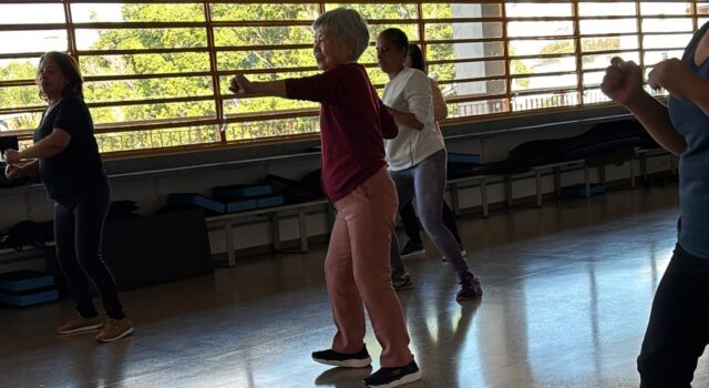 Aerocombat SÃo Miguel (3)