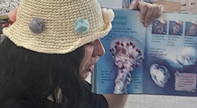 B5f47b51 Dce5 4873 8ff5 1e1284ea4b99