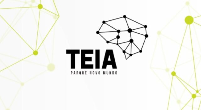 Teia