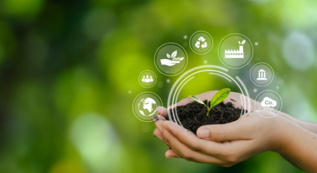 Captura De Tela 2025 09 24 075055