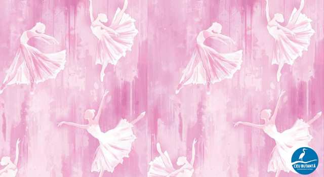 12 A 17 Anos Sábado Das 13h à 14h30 (10)