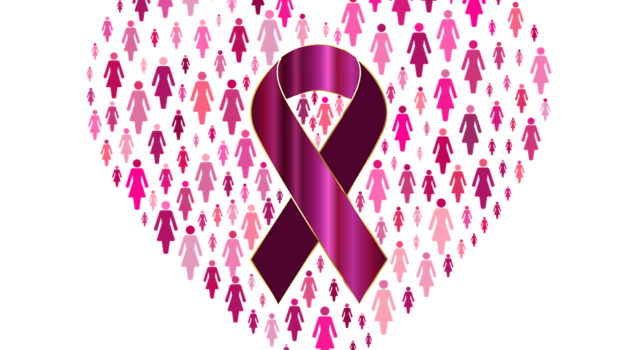 Outubro Rosa Mitos E Verdades Sobre O Cancer De Mama 1585145782