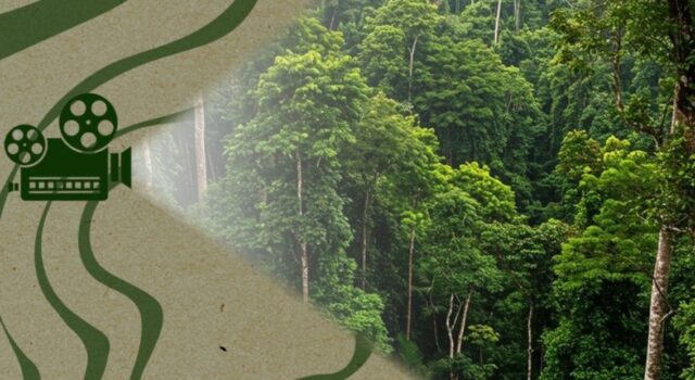 Whatsapp Image 2025 11 11 At 10.10.28