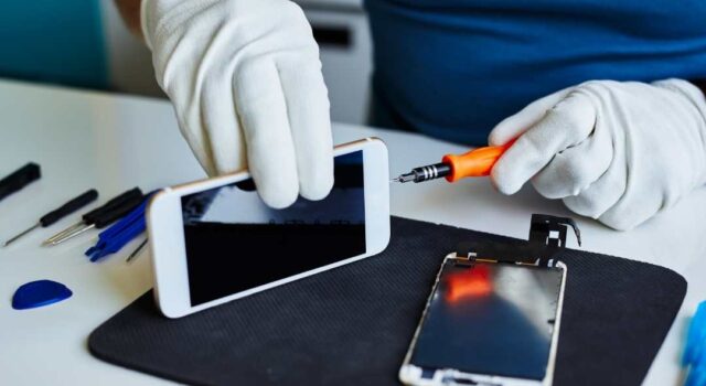 Manutenção Celular