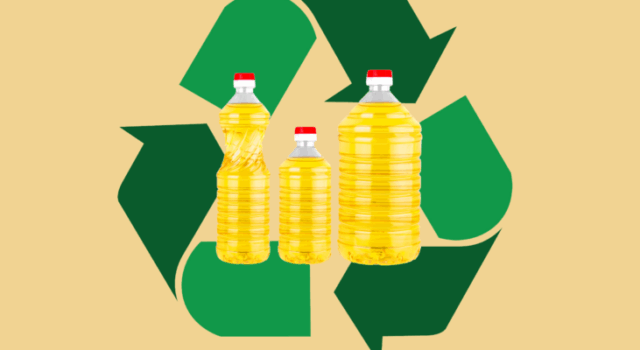 Captura De Tela 2025 12 10 155036