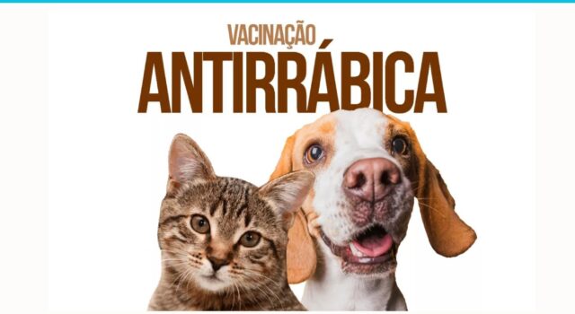 Rótulo De Aromas Elegante Verde