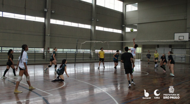 Voleibol