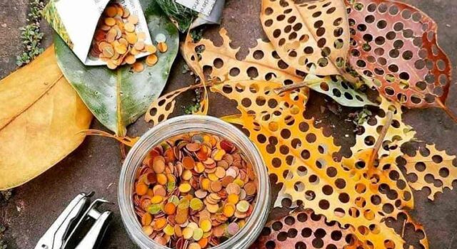 1dd1c66e 4243 4107 801e 4796f5e52398 (2)