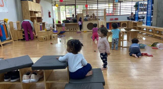 Whatsapp Image 2026 02 11 At 08.42.27