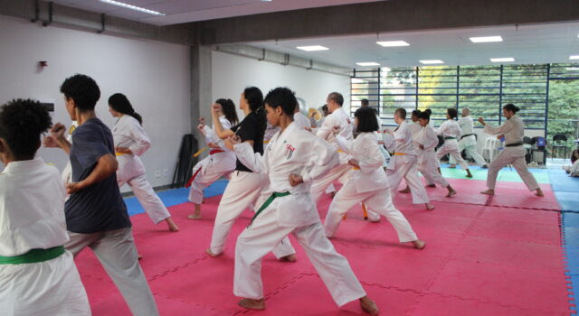 Karate 18h30 14+ Anos (39)