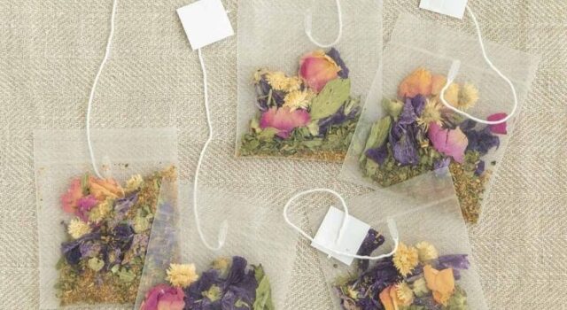 Whatsapp Image 2026 03 08 At 14.58.02