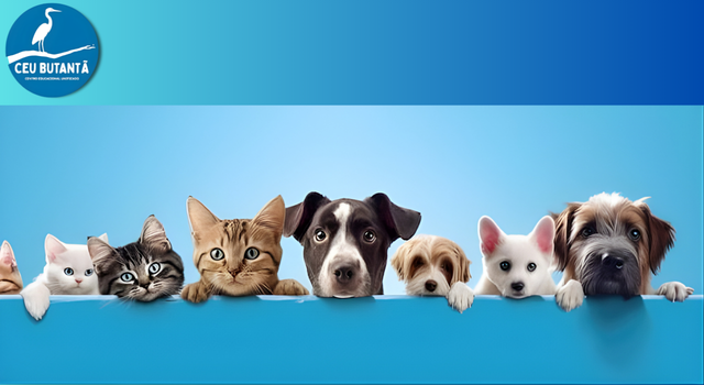 12 A 17 Anos Sábado Das 13h à 14h30 (5)