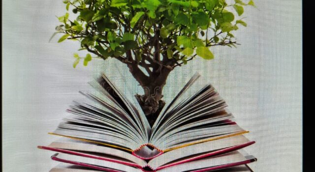 Whatsapp Image 2026 04 01 At 08.47.07