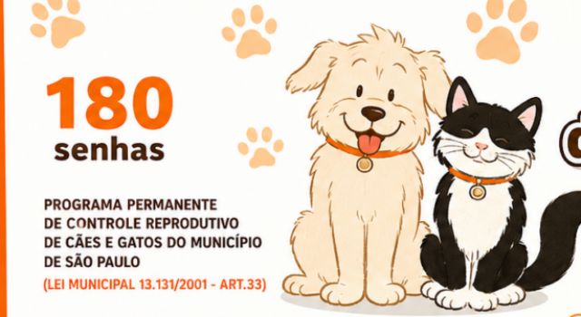 Castração 026