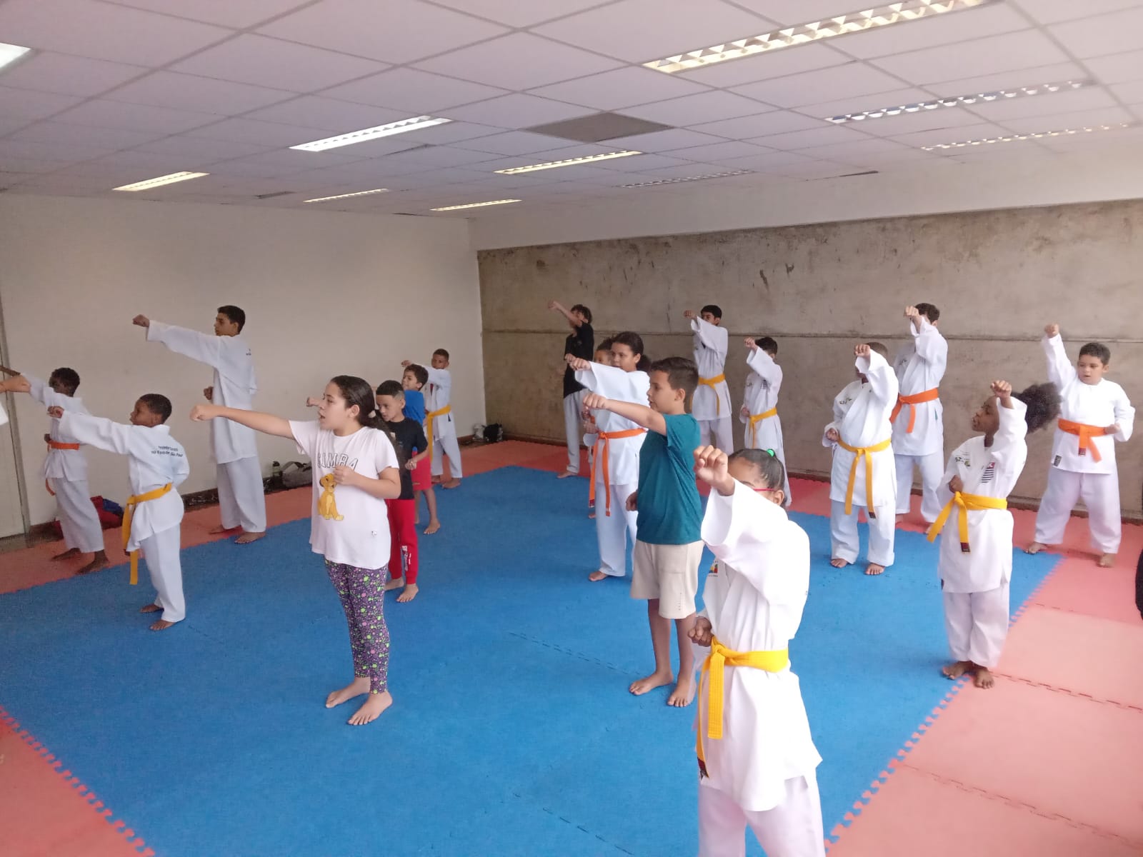05 03 Karate 10h