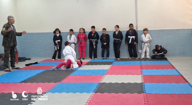 Jiu-Jitsu