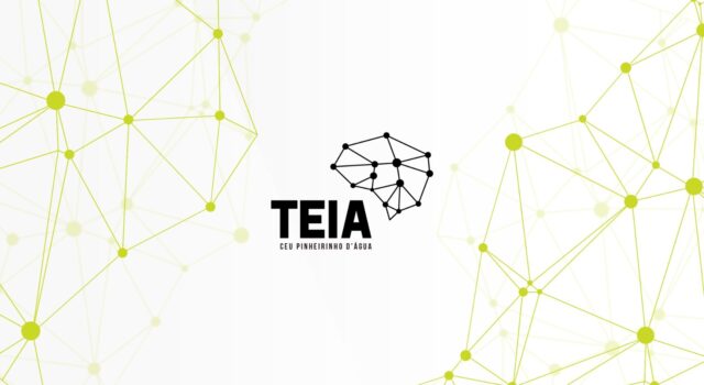 Capa Teia