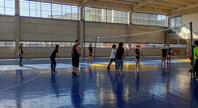 Voleibol